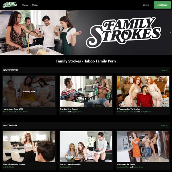 FamilyStrokes homepage